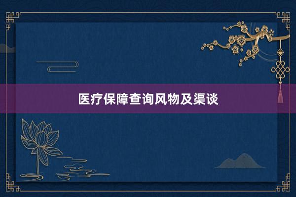 医疗保障查询风物及渠谈